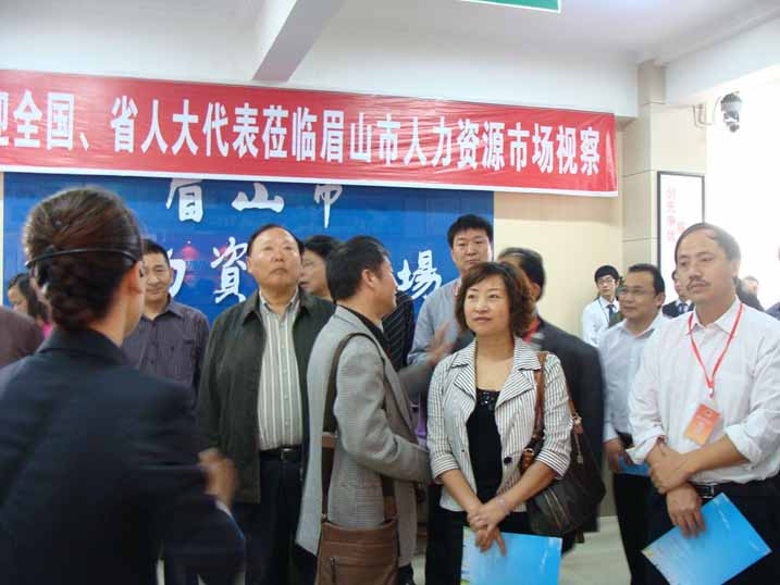 人大代表視察招聘會(huì)情況